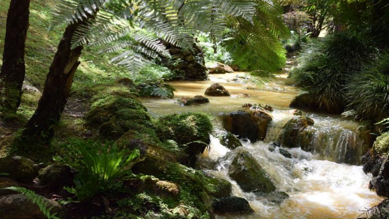 Azori-szigetek utazás Sao Miguel Faial Pico