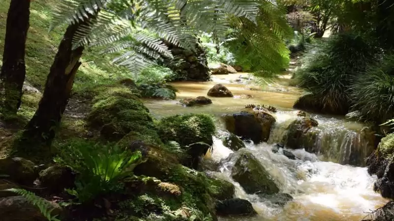 Sao Miguel Faial Pico Azori-szigetek