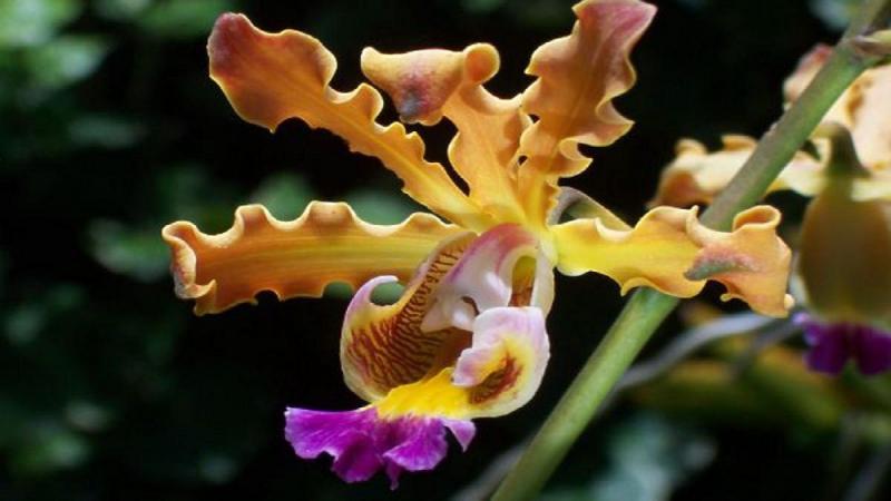 Best Of Madagaszkár - Egyéni Körutazás