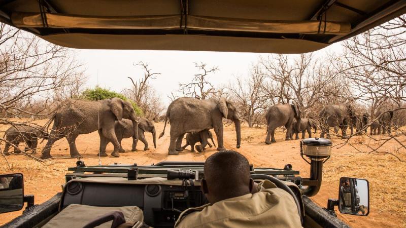 Botswana És A Viktória-vízesés