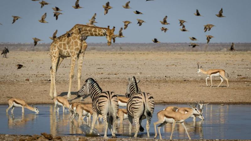 Botswana És A Viktória-vízesés