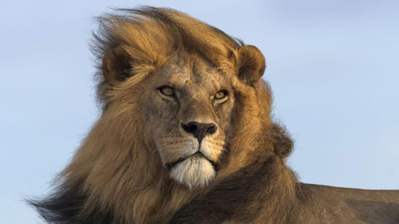 Botswana És A Viktória-vízesés