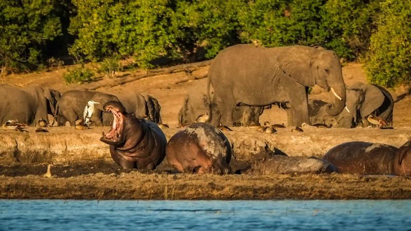 Botswana És A Viktória-vízesés