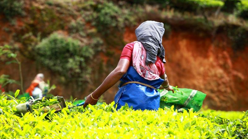 Dél-india Körutazás Üdüléssel A Trópusi Tengerparton