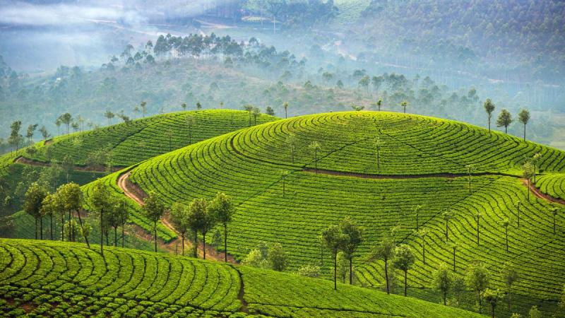 Dél-india Körutazás Üdüléssel A Trópusi Tengerparton