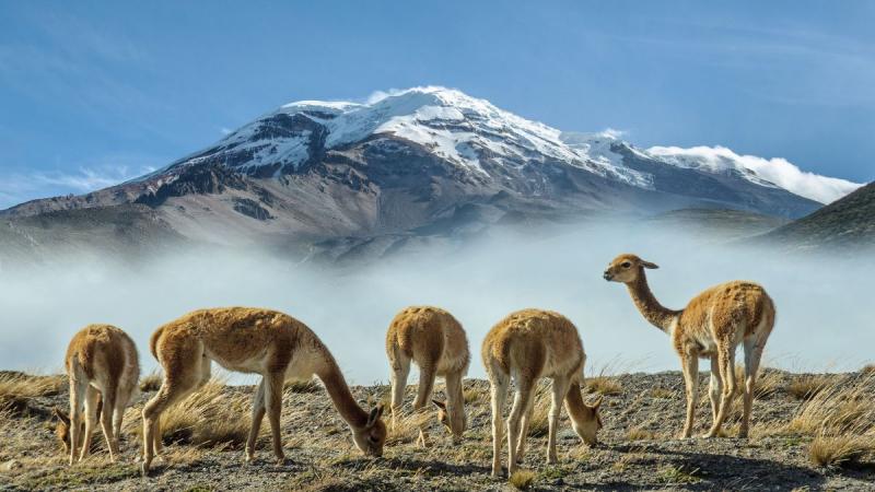Ecuador, Amazónia és a Galápagos-szigetek