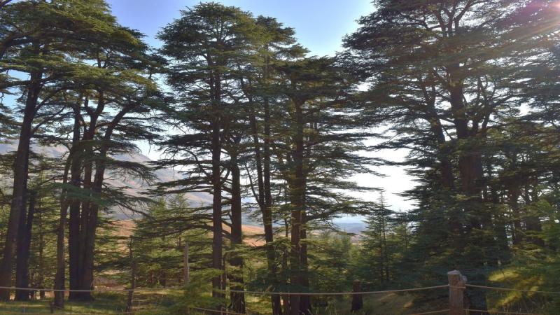 Libanon - Csoportos Körutazás