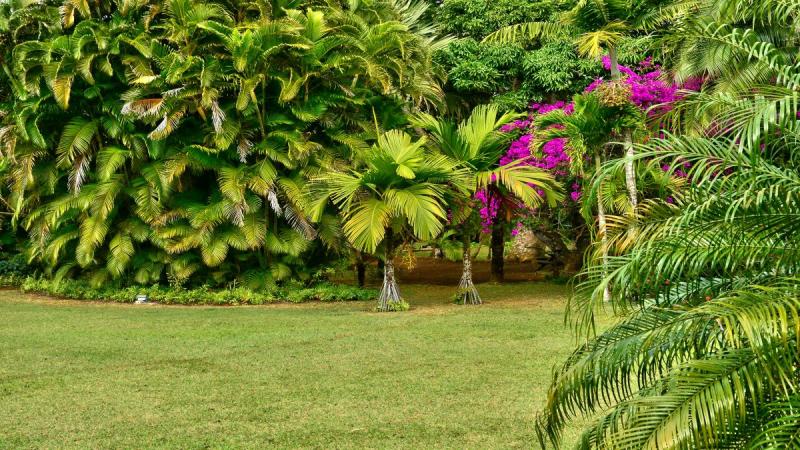 Mauritius - Csoportos Körutazás