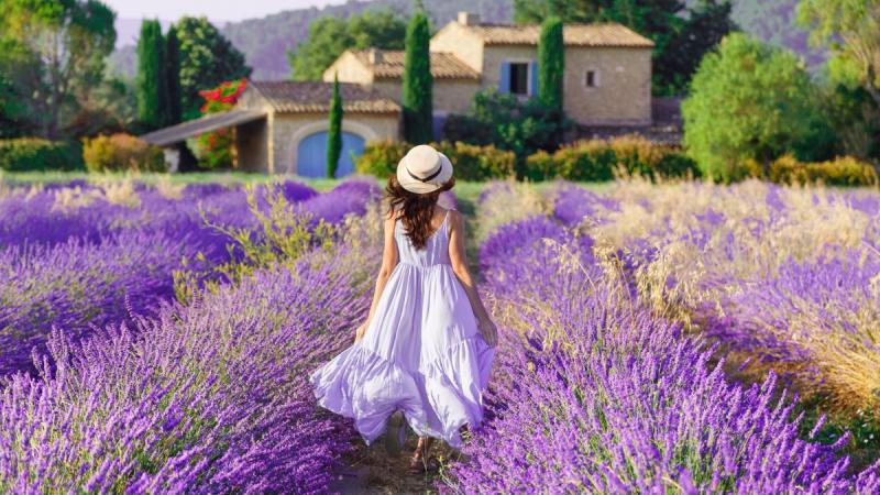 Provence, A Francia Riviéra És Monaco