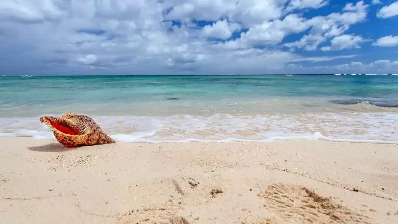 Sugar Beach Resort Mauritius