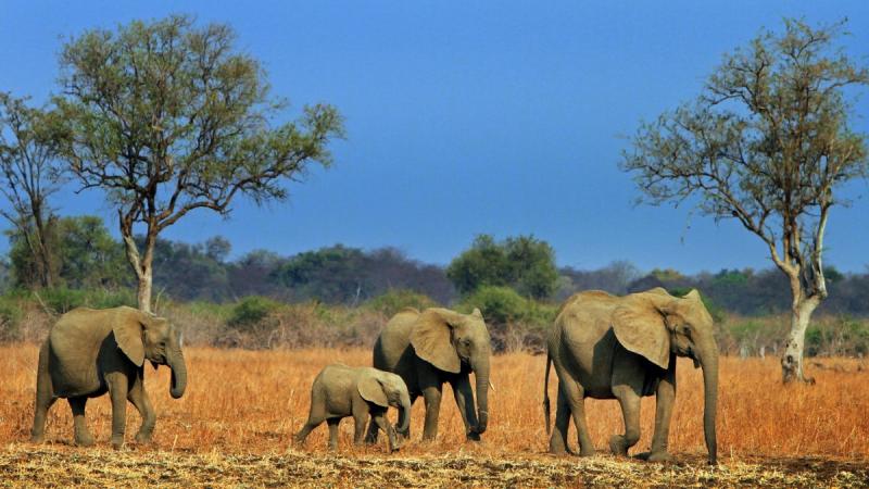 Zambia És Malawi - Livingstone Nyomában - Egyéni körutazás