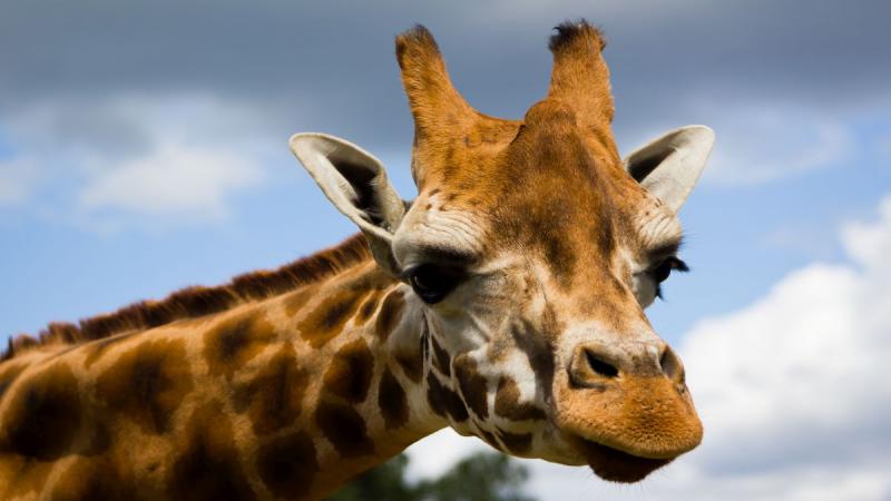 Zambia És Malawi - Livingstone Nyomában - Egyéni körutazás