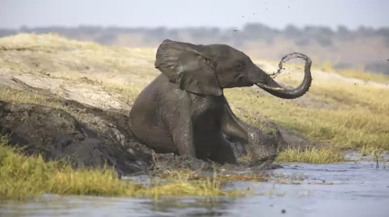 Zambia És Malawi - Livingstone Nyomában - Egyéni körutazás