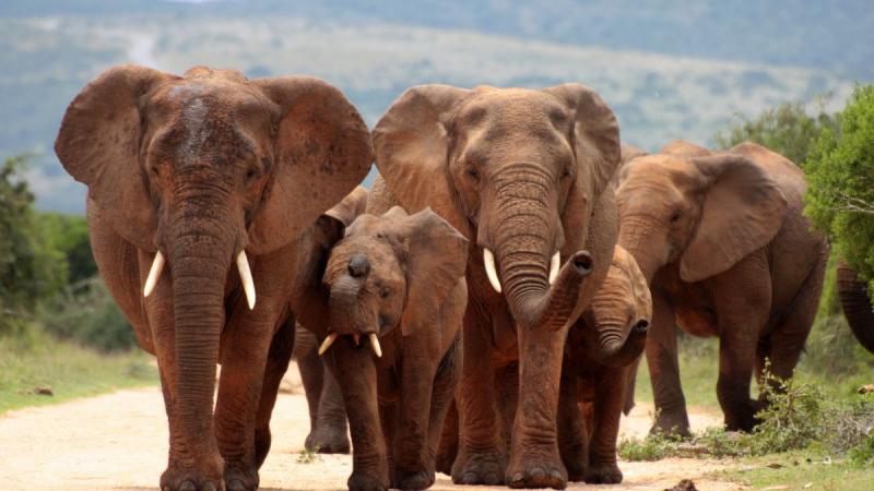 Zambia És Malawi - Livingstone Nyomában - Egyéni körutazás