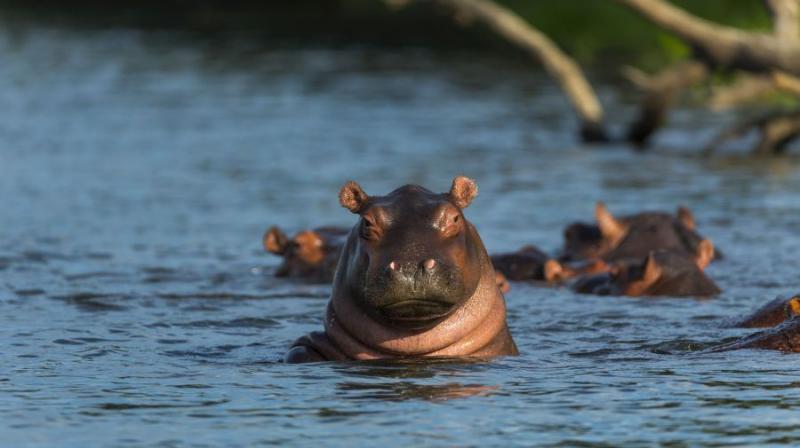 Zambia És Malawi - Livingstone Nyomában - Egyéni körutazás