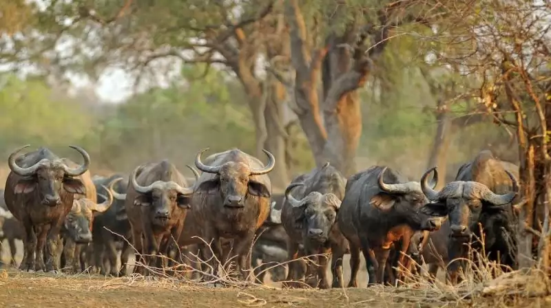 Zambia És Malawi - Livingstone Nyomában - Egyéni körutazás