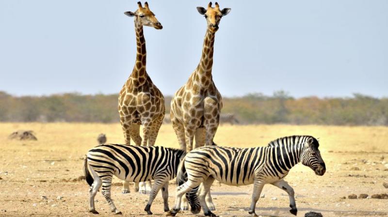 Zambia És Malawi - Livingstone Nyomában - Egyéni körutazás