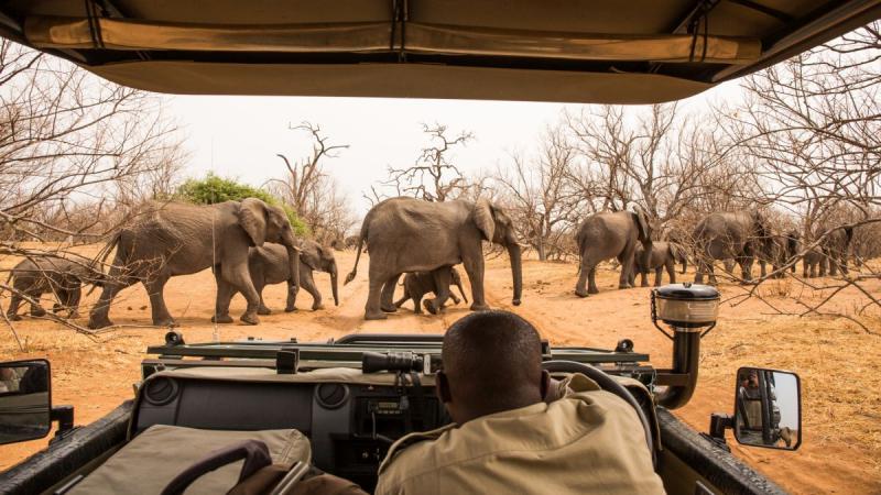 Zambia – Namíbia – Botswana körutazás