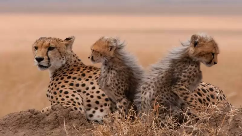 Zambia – Namíbia – Botswana körutazás