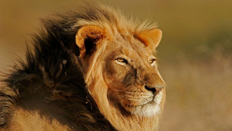 Zambia – Namíbia – Botswana körutazás