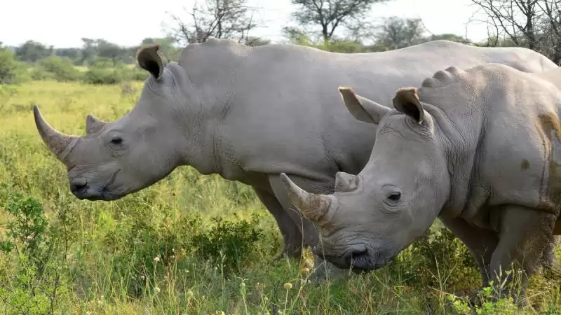 Zambia – Namíbia – Botswana körutazás