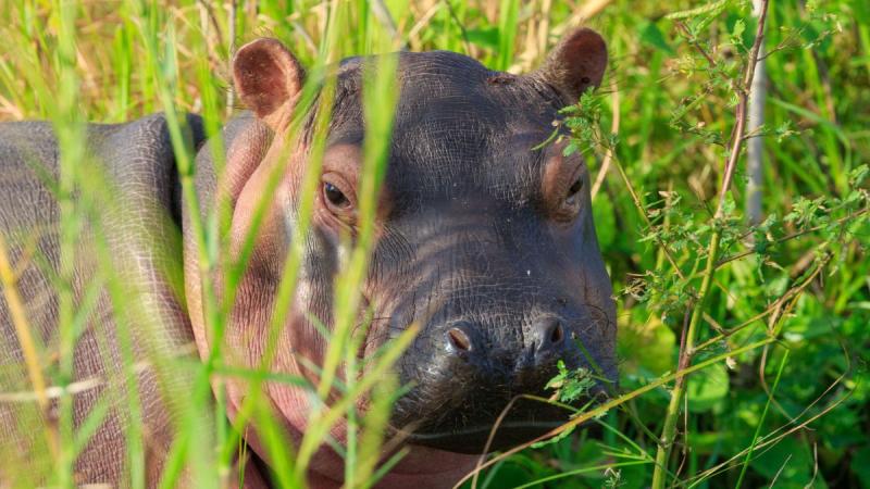 Zambia – Namíbia – Botswana körutazás