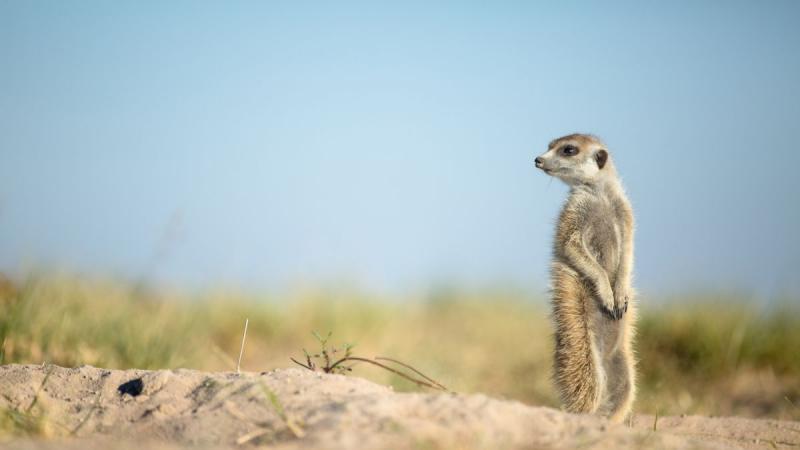 Zambia – Namíbia – Botswana körutazás