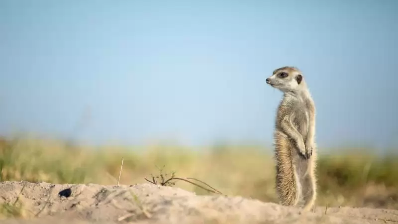 Zambia – Namíbia – Botswana körutazás