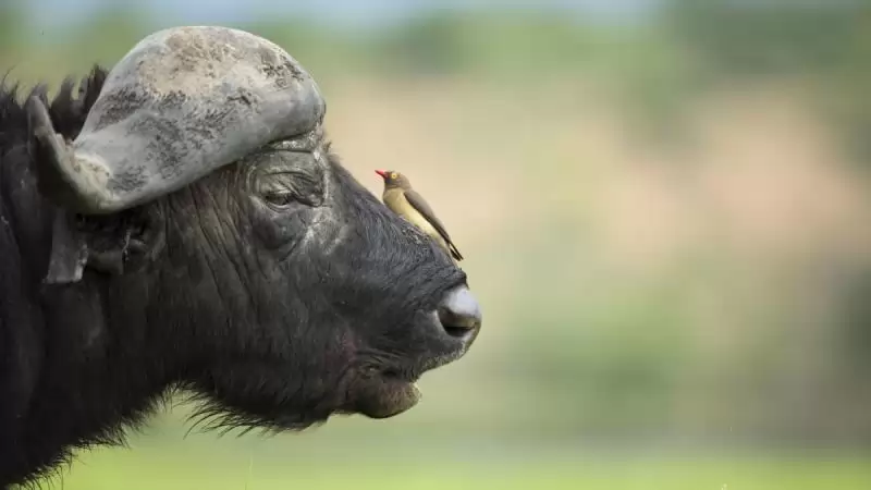 Zambia – Namíbia körutazás