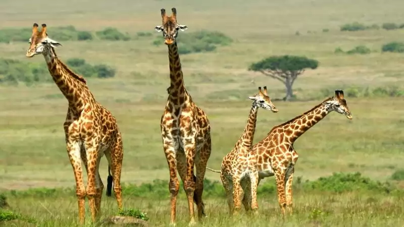 Zambia – Namíbia körutazás