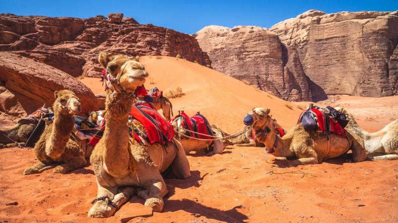 Jordánia - angol nyelvű idegenvezetéssel - 5 napos