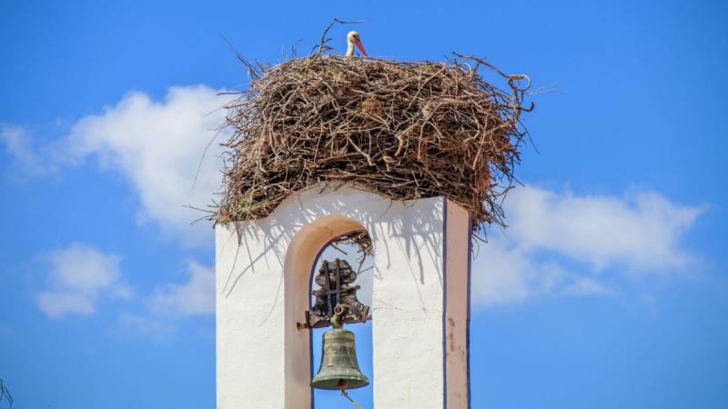 Lisszabontól Algarve-ig