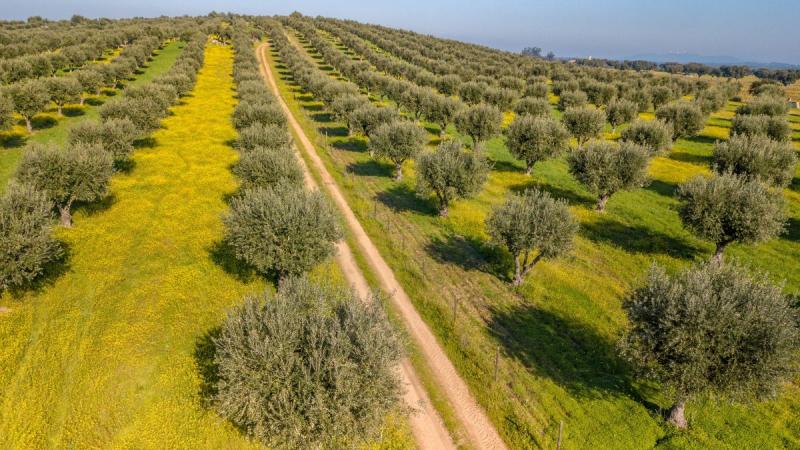Lisszabontól Algarve-ig