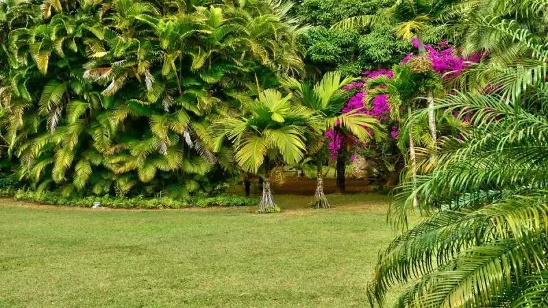 Mauritius, Az Indiai-óceán Csillaga körutazás