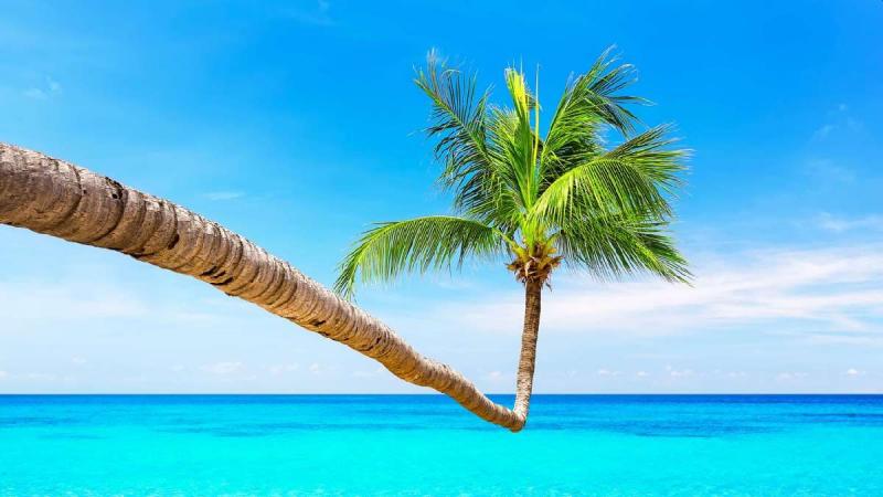 Tavaszi szünet a Dominikai Köztársaságban, Punta Canán