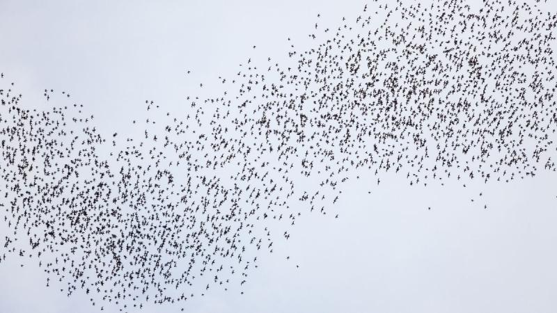 Borneói Kalandok Malájzia körutazás