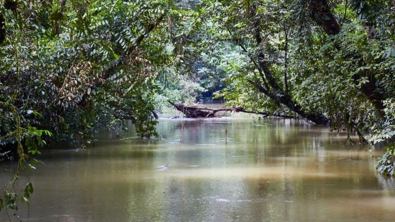Borneói Kalandok Malájzia körutazás