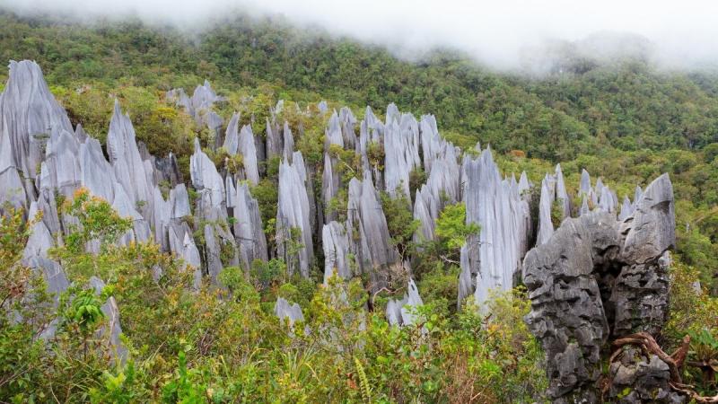 Borneói Kalandok Malájzia körutazás