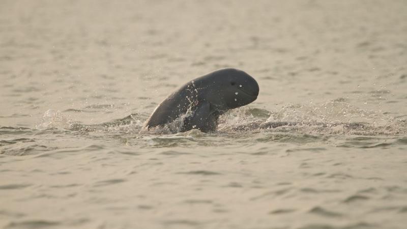Borneói Kalandok Malájzia körutazás