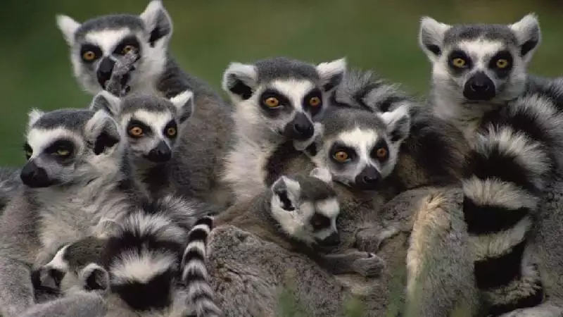 Madagaszkár Csodái - Egyéni Körutazás