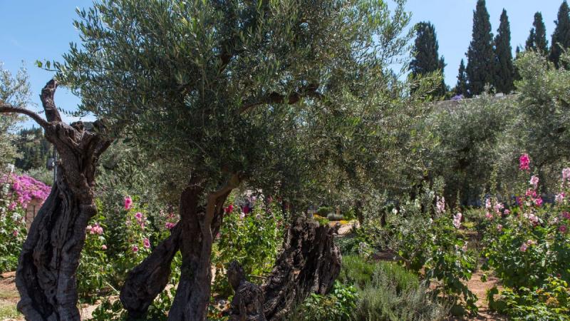 Nagy Körutazás Izraelben