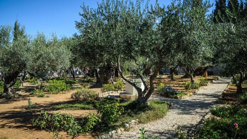 Szilveszter Izraelben