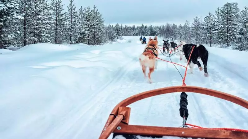 Téli Kalandok - Az Északi Fény Nyomában
