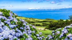 Azori-szigetek – Sao Miguel És Terceira