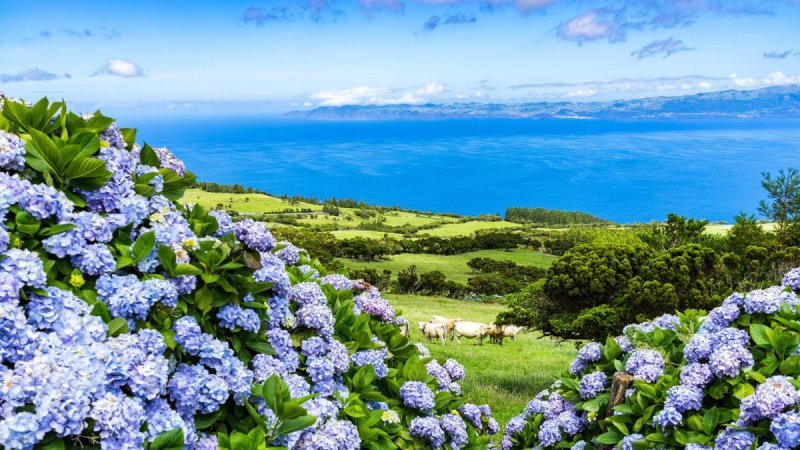 Azori-szigetek – Sao Miguel És Terceira