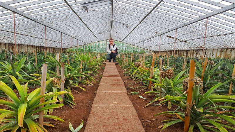 Azori-szigetek – Sao Miguel És Terceira