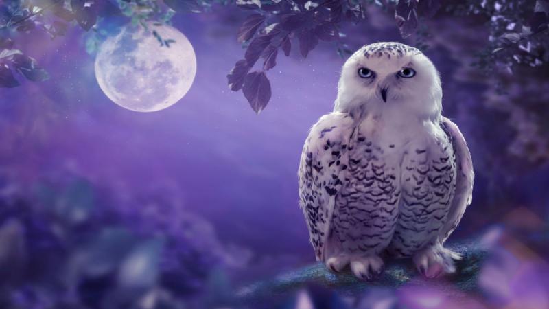 London utazás London Varázstanoncoknak