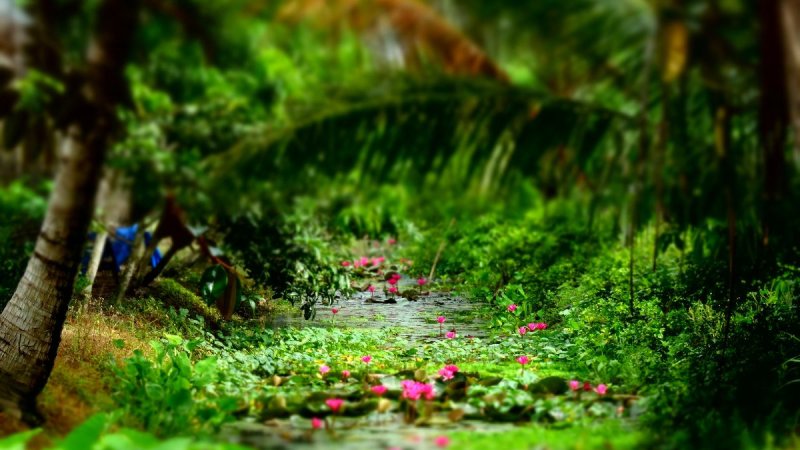 Vietnám - Csoportos Körutazás