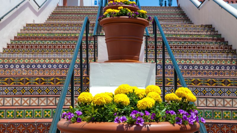 Los Angeles – San Diego – Hawaii