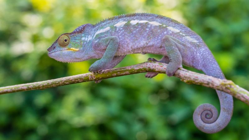 Madagaszkár körutazás